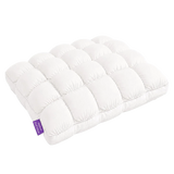 Apiastar Cloud Chill Pillow