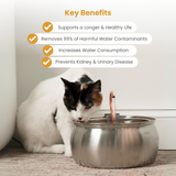 The KittySpout™ - 4L Fountain