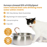 The KittySpout™ - 4L Fountain